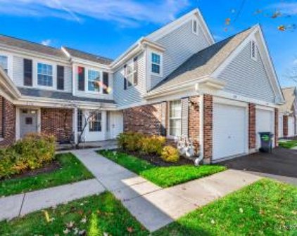 278 Green Knoll Court, Streamwood