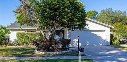 13912 Hayward Place, Tampa