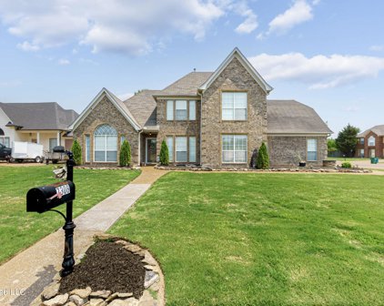 7308 Wendy Way Way, Walls