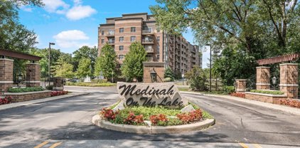 125 Lakeview Drive Unit #313, Bloomingdale