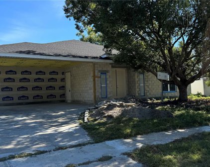 3503 Nakora Drive, Tampa