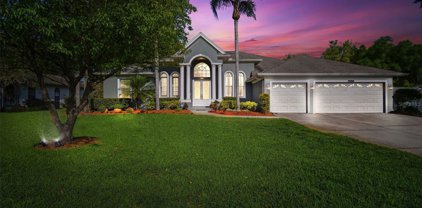 3905 Lake Joyce Drive, Land O' Lakes
