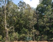 Lot 11  Us Hwy 19 32626, Chiefland image