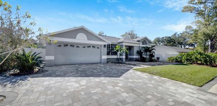 6528 Steeplechase Drive, Tampa