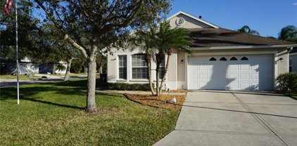 4224 Duck Creek Way, Ellenton