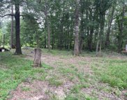 15663 Country West Dr, Conroe image