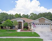 1525 Winding Willow Drive, Trinity image