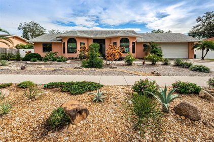 1017 Jamaica Way, Tarpon Springs