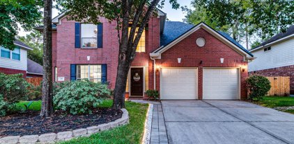 119 N Westwinds Circle, The Woodlands