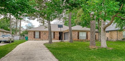 407 Rolling Hills Drive, Conroe