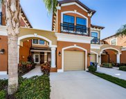 11454 Crowned Sparrow Lane, Tampa image