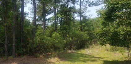 134 Pineberry Dr., Georgetown