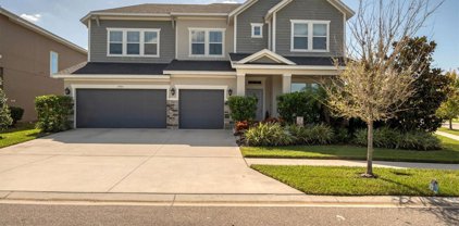 6901 Neopolitan Court, Apollo Beach