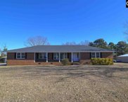 2109 Wessinger Road, Chapin image