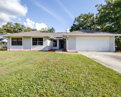 18619 San Rio Cir, Lutz