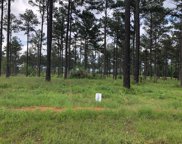 180 Cypress Royale W, Hemphill image