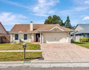 7054 Hollowell Drive, Tampa image