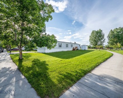 371 Green Tree Drive, Belgrade
