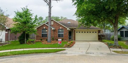 4943 Linden Place, Pearland