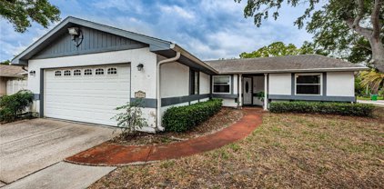 1031 Persimmon Drive, Palm Harbor