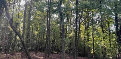 LOT 10 Kent Rock Road, Loganville