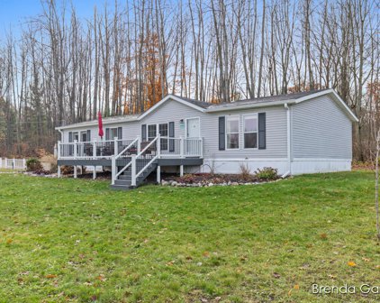 11379 N Backus Road, Lakeview