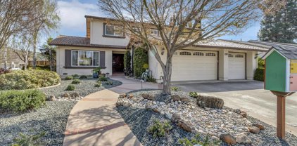 218 Purple Glen DR, San Jose