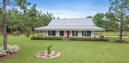 4207 S County Rd 49, Slocomb