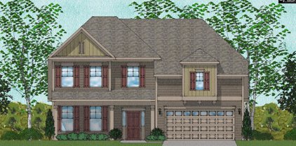 124 Siri Lane Drive, Columbia