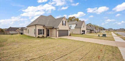 8661 Hayes Drive, Southaven
