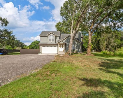 407 E Chapman Road, Lutz