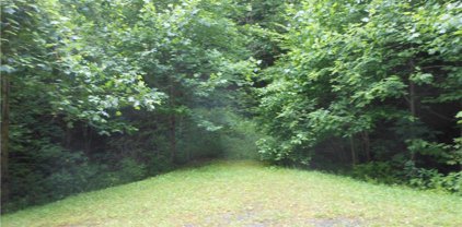 Lot 32 Leaning Pine Drive, Warrensville