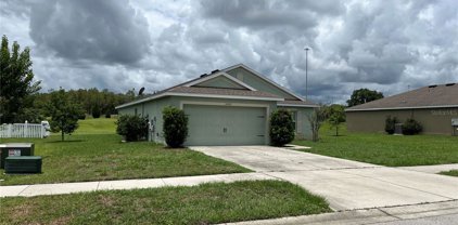 30525 Satinleaf Run, Brooksville