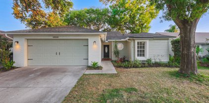 8719 Hampden Drive, Tampa