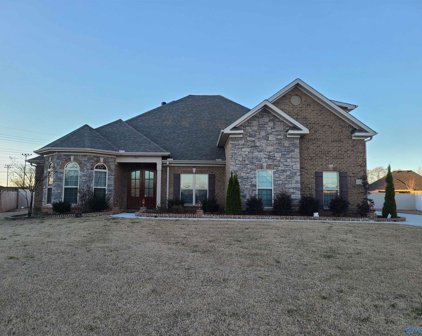109 Shields Park Circle, Huntsville