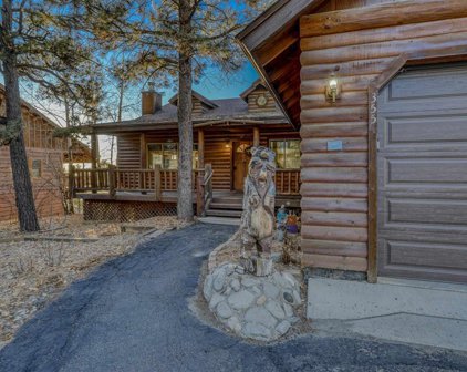 355 Handicap, Pagosa Springs