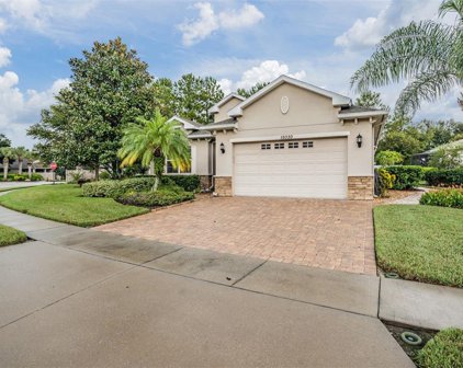 19330 Red Sky Court, Land O' Lakes