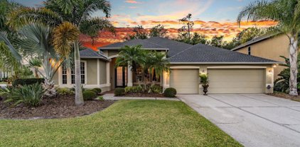 3353 Loggerhead Way, Wesley Chapel