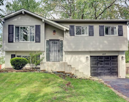 217 Malibu Drive, Bolingbrook