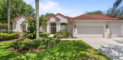 18106 Regents Square Drive, Tampa
