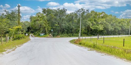 33209 Camerton Road, Wesley Chapel