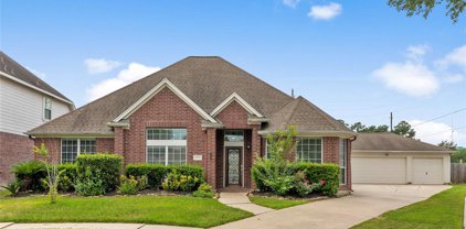 20619 Cypress Tree Lane, Spring