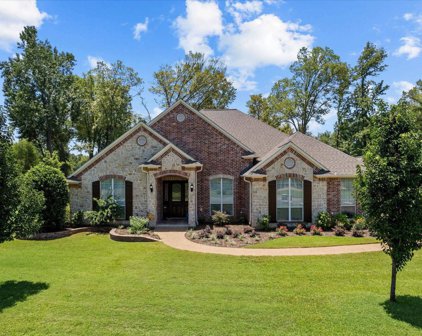 11411 Cedar Glen Circle, Flint