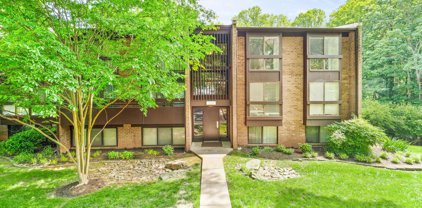 11560 Rolling Green Ct Unit #301, Reston