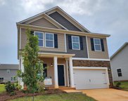 331 Holstrom Lane, Chapin image