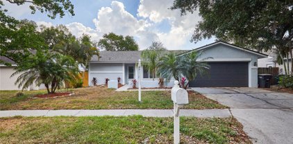 20 Harbor Lake Circle, Safety Harbor