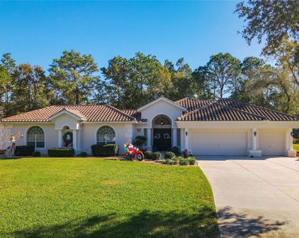 31 Seagrape Street, Homosassa