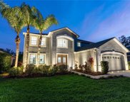 5431 Twin Creeks Drive, Valrico image