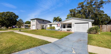Pinellas Park