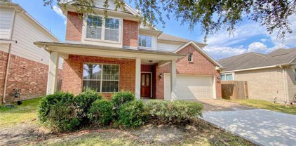 13419 Hickory Springs Lane, Pearland
